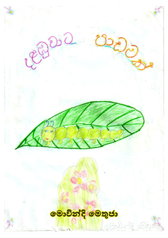 දළඹුවාට පාඩමක්(2)_page-0001-compressed - Isuru Kavishka.png